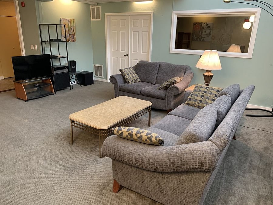Lower-level living room.