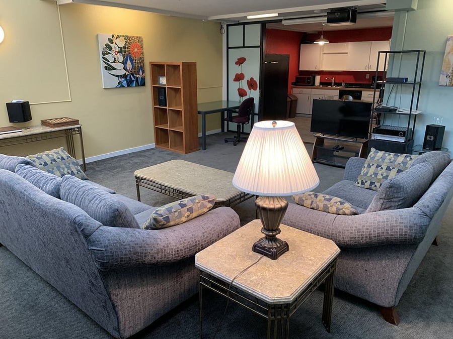 Lower level living room.