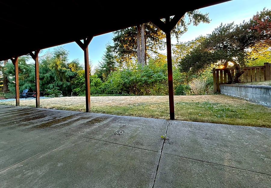 Sitting area and yard