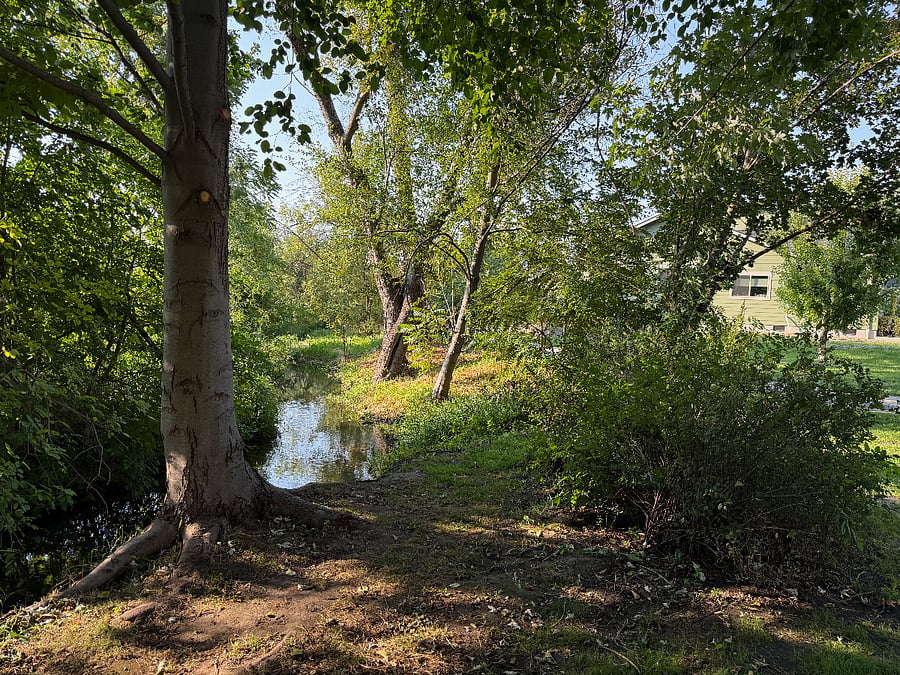 Wagner Creek Stream