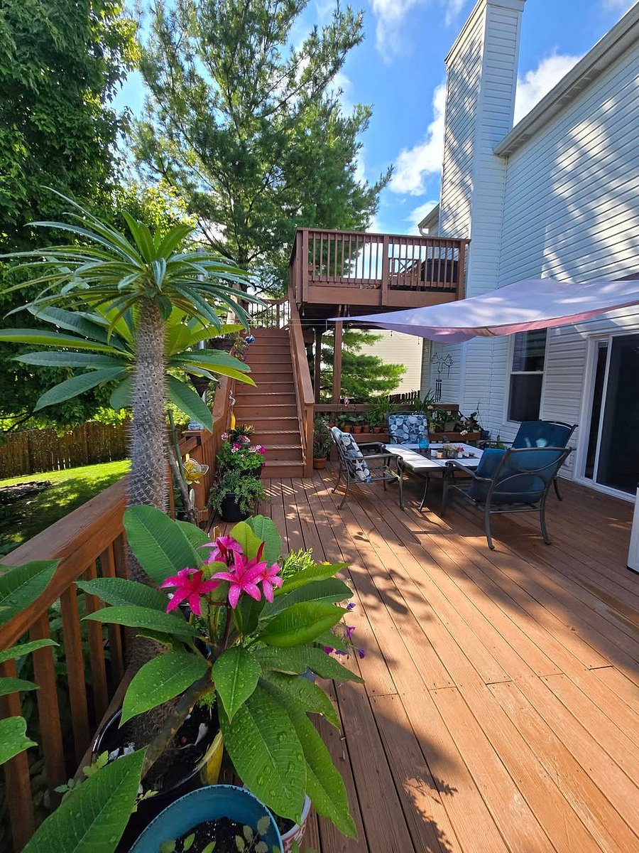Furnished Finder property 890277_1 photo 9