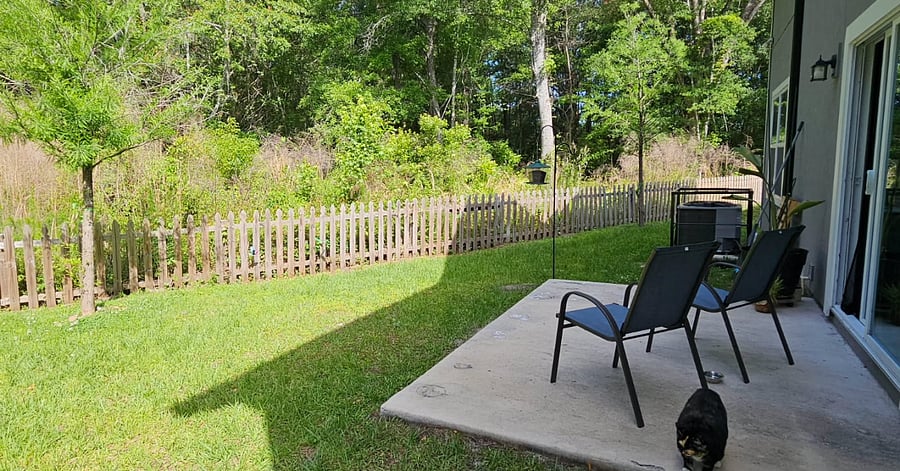 Furnished Finder property 890332_1 photo 18