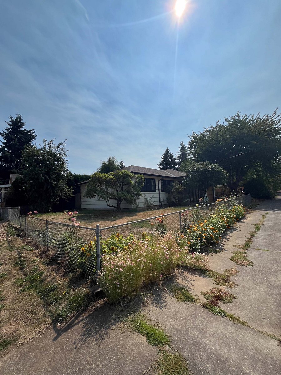 Front yard
