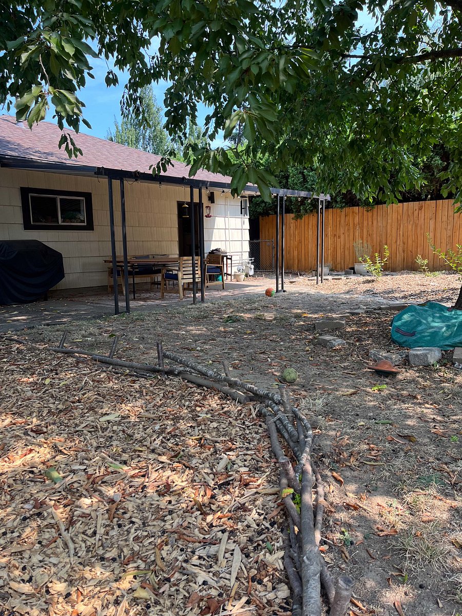 Back yard