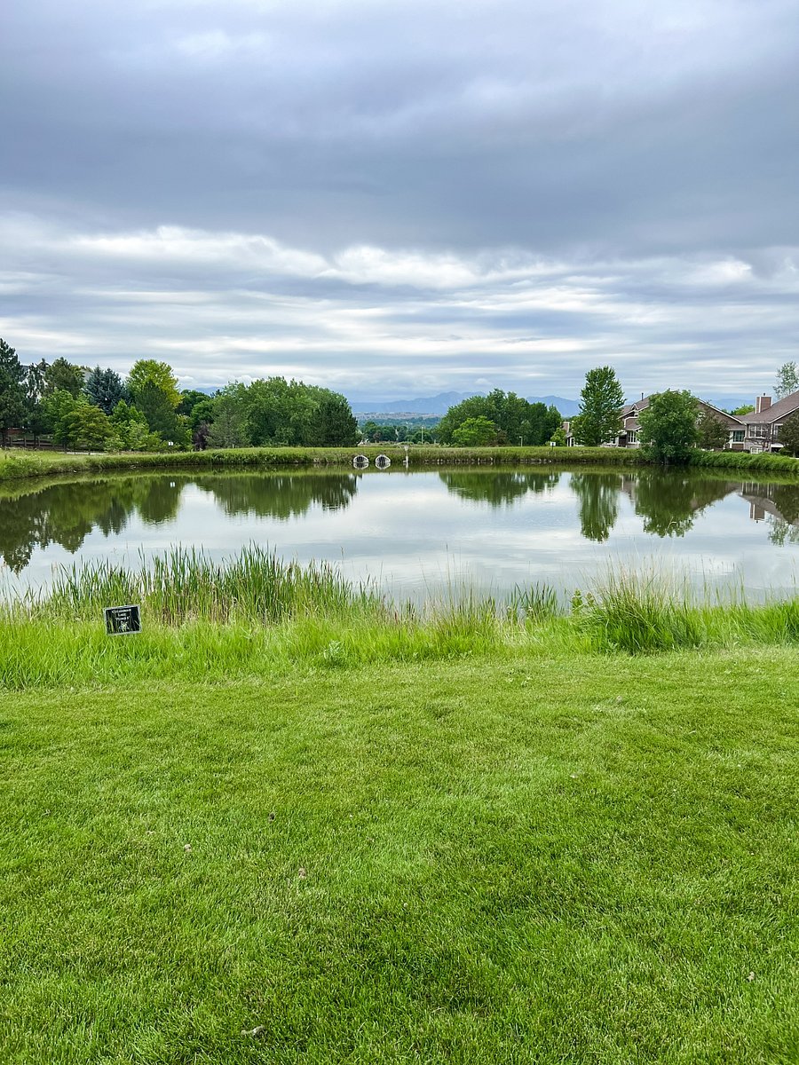 One of the ponds in the neighborhood