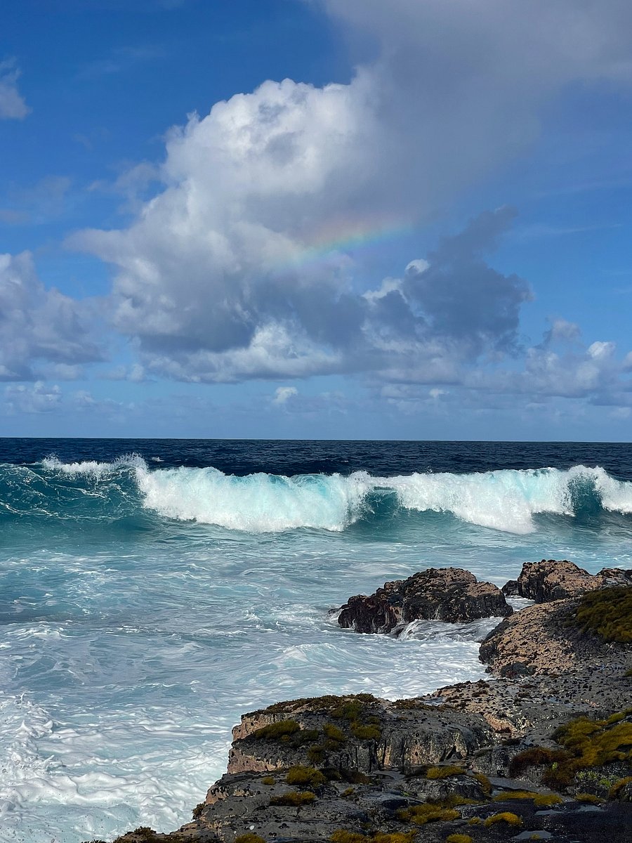 Maku'u Point - One of the islands beautiful spots located inside the neighborhood just a short drive down the road. Walk or sit along the cliffs and let the ocean sounds rejuvenate your soul.