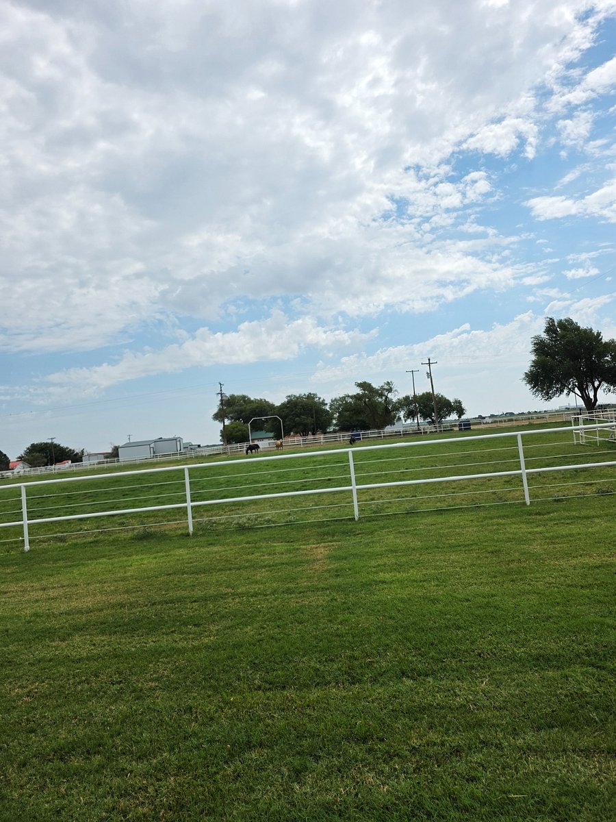 Furnished Finder property 890640_4 photo 10
