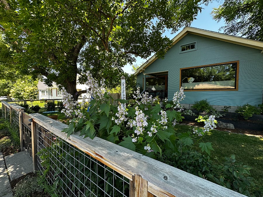Furnished Finder property 890679_1 photo 1
