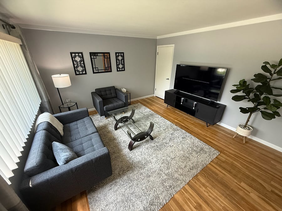 Living Room view 2