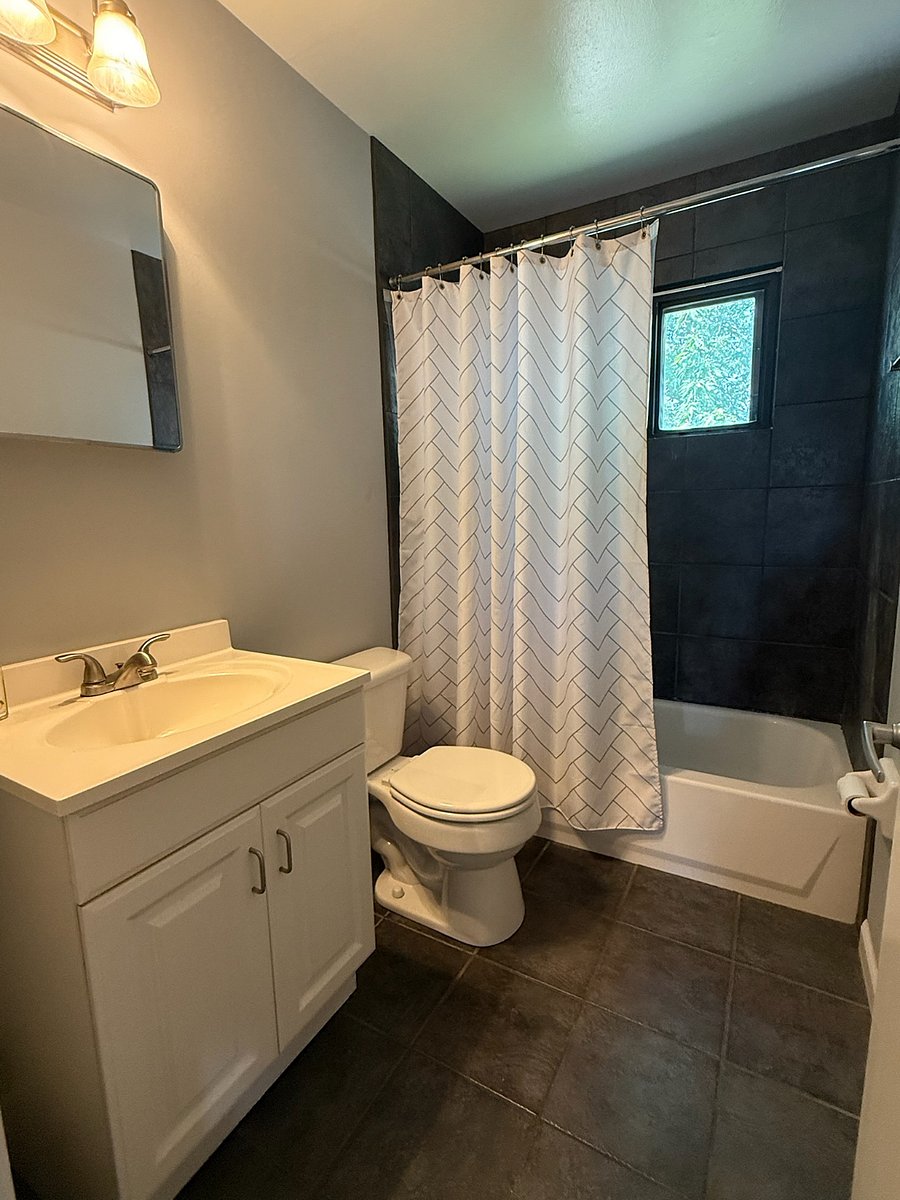 Main Level Bath (shower and tub)