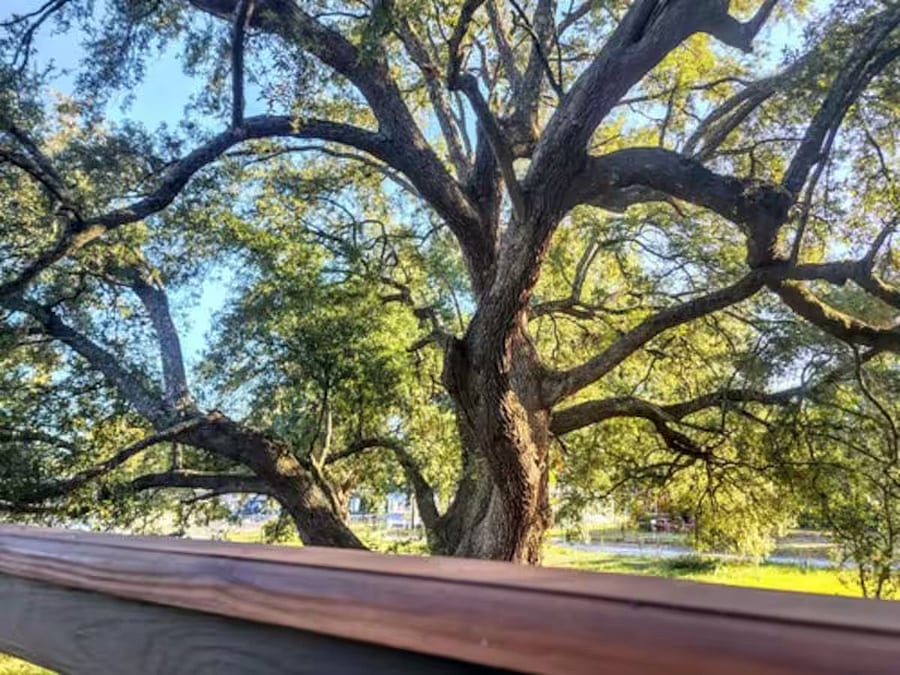 Furnished Finder property 890708_8 photo 10