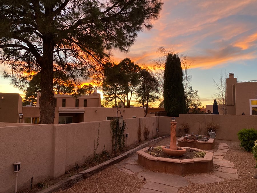 Backyard looking to the northwest -- no filter!