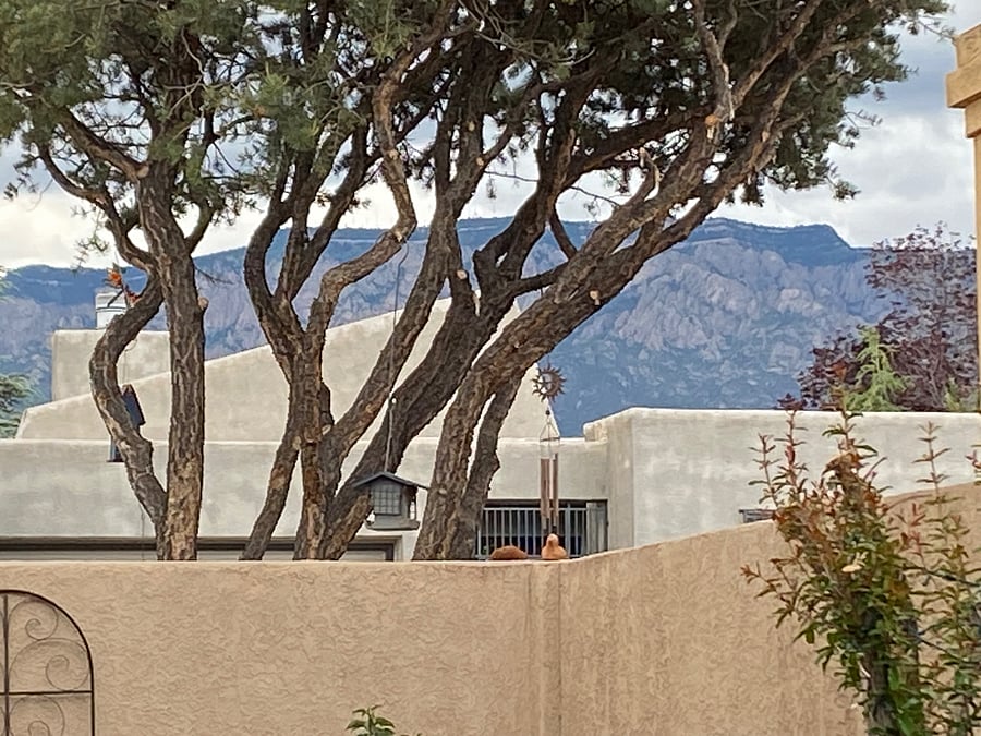 Great view of mountains from the pergola - day or night