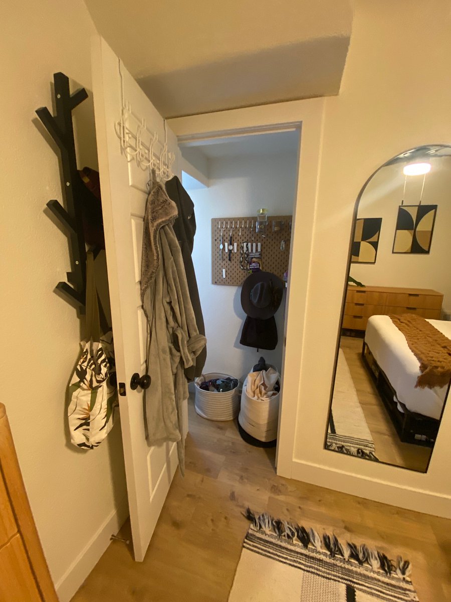 Bedroom 1 - walk-in closet