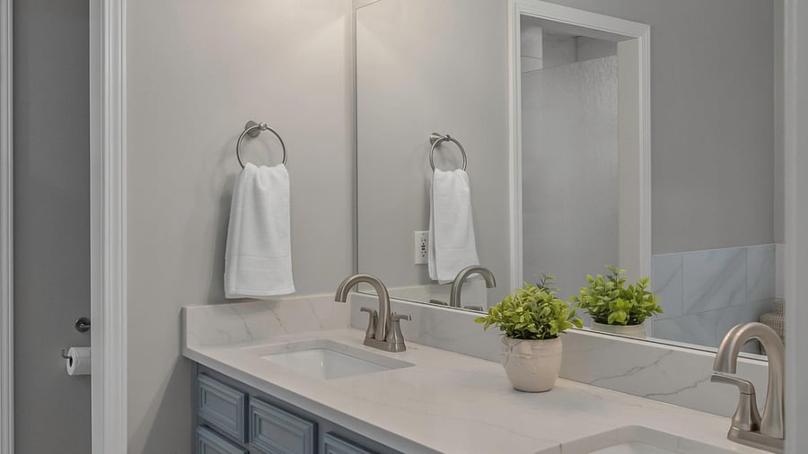 Master bathroom with double vanities