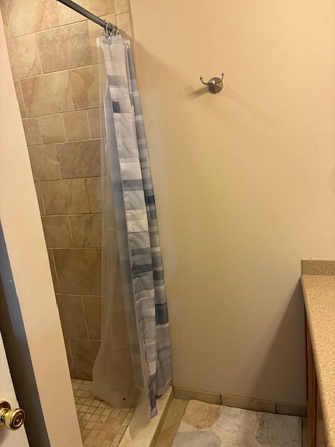 master bath walk-in shower