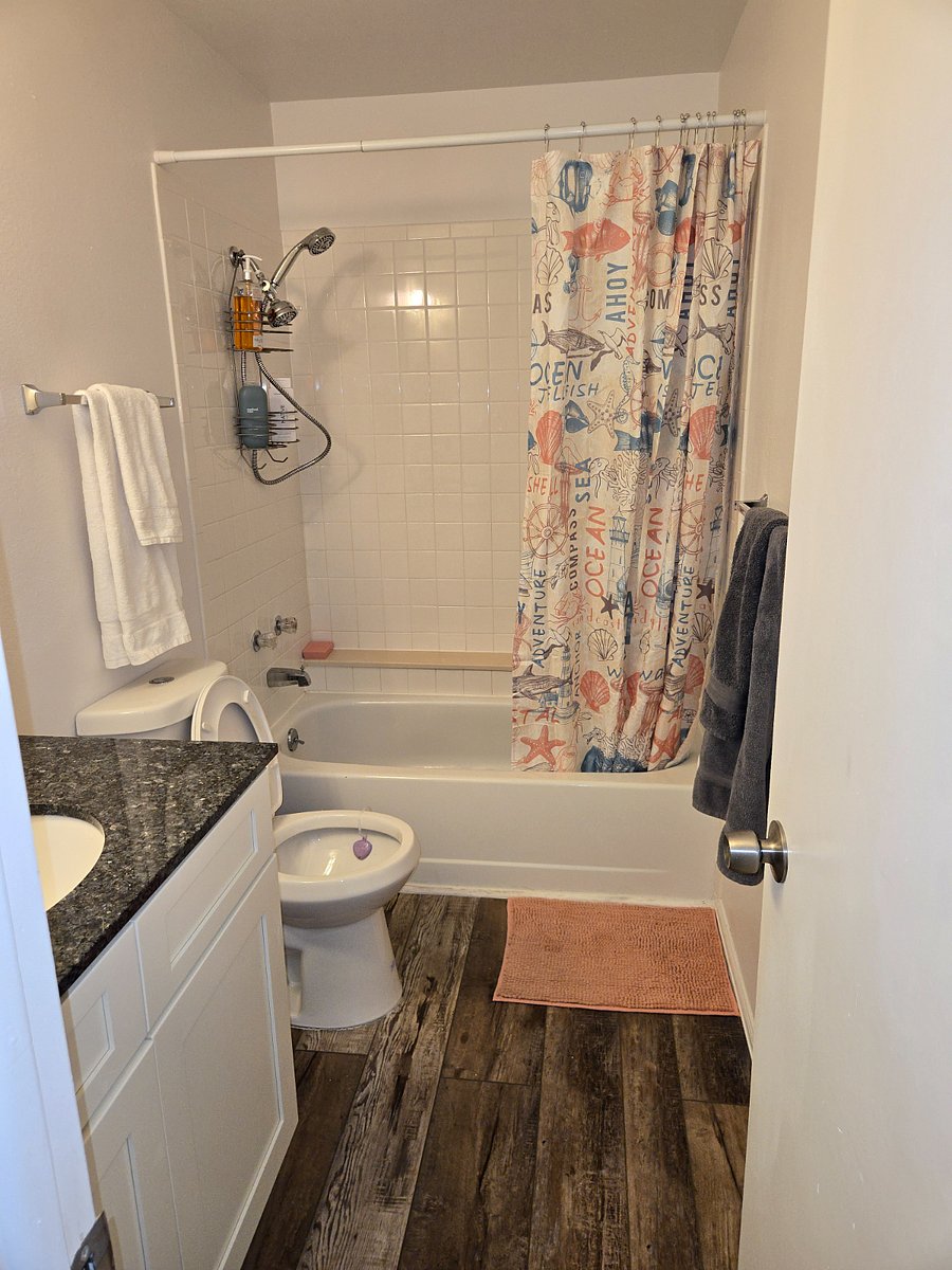 Main full bathroom