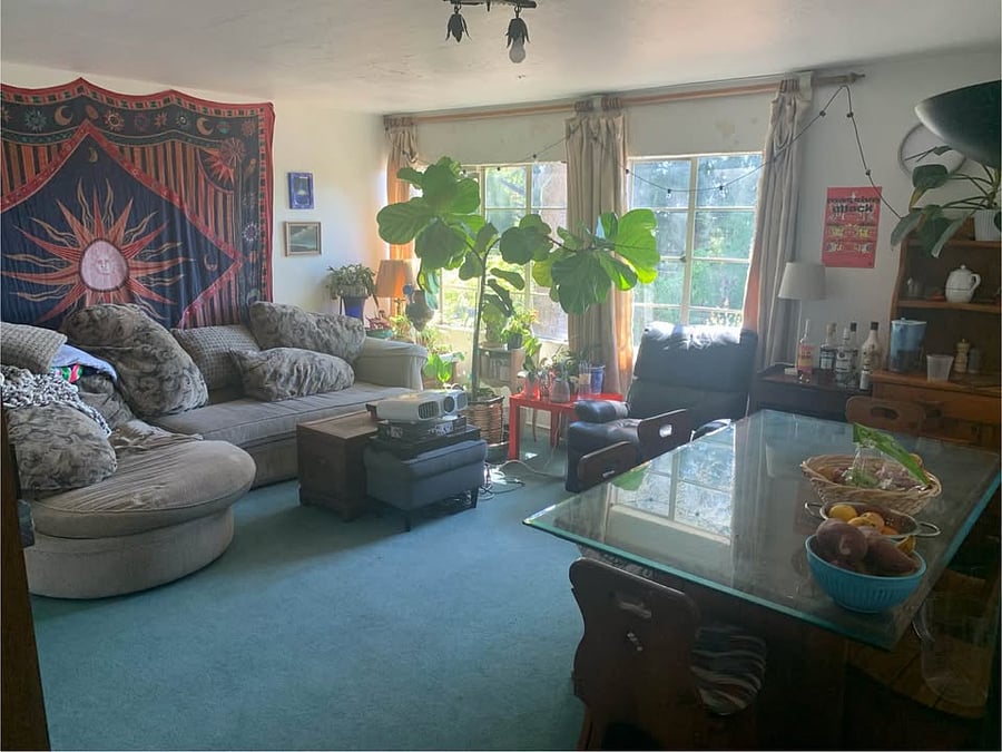 Downstairs living room