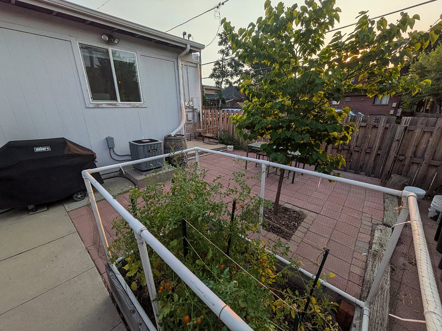 Backyard