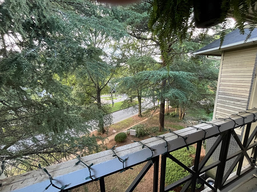 Furnished Finder property 891437_1 photo 17