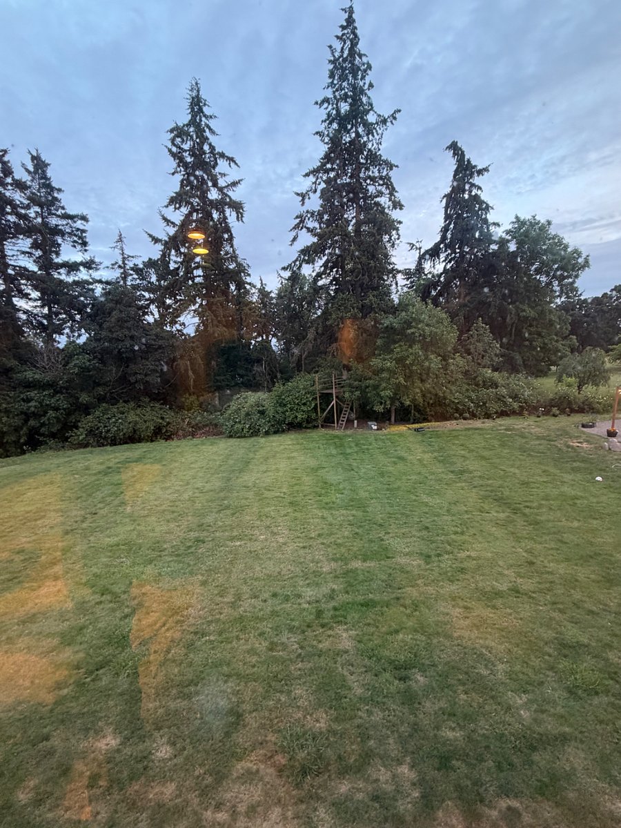 Furnished Finder property 891466_1 photo 11