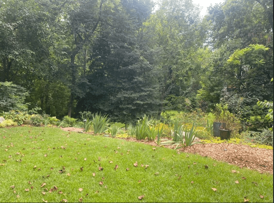 Garden with Mature Foliage and Fountain, Attracting Butterflies and Birds.