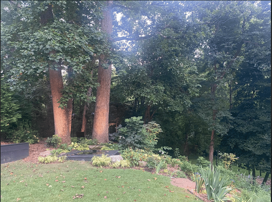 Professionally Landscaped and Maintained Garden, Fully Fenced.