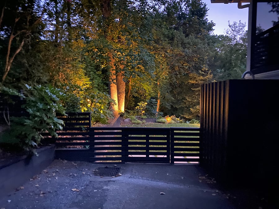 Driveway at Dusk.
