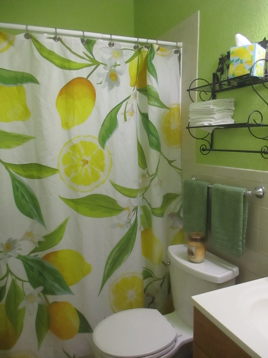 Main Bath (for renter use)