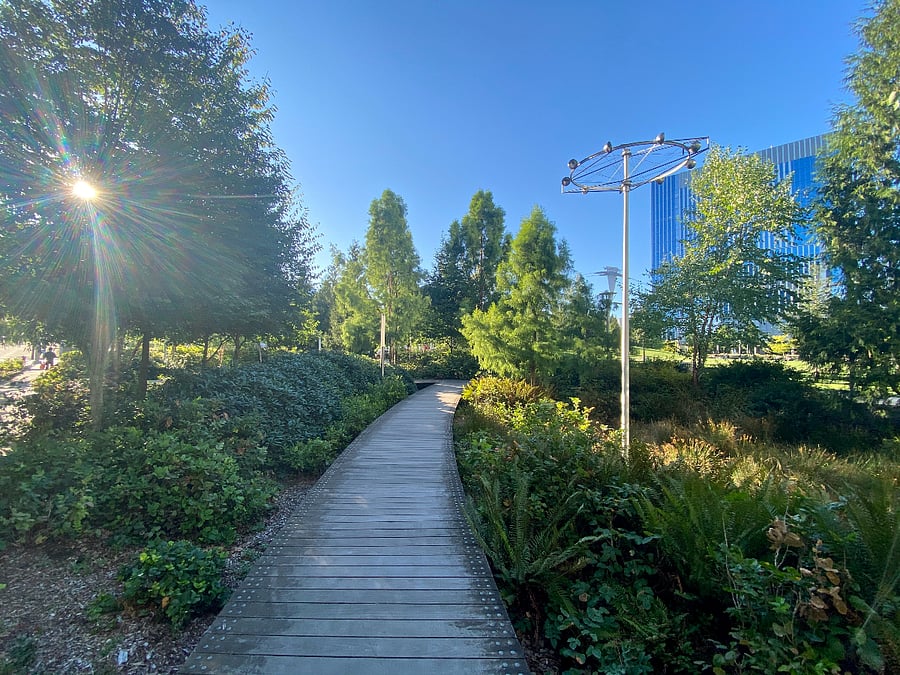 Waterfront Greenway Perfect for morning walks or runs.