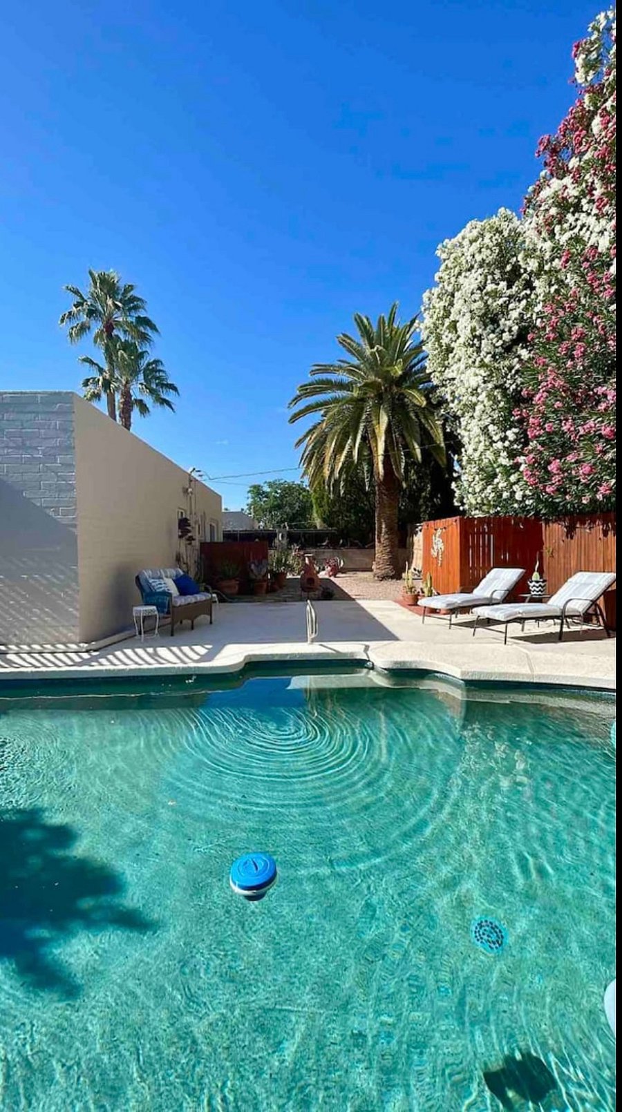 Furnished Finder property 891595_1 photo 19