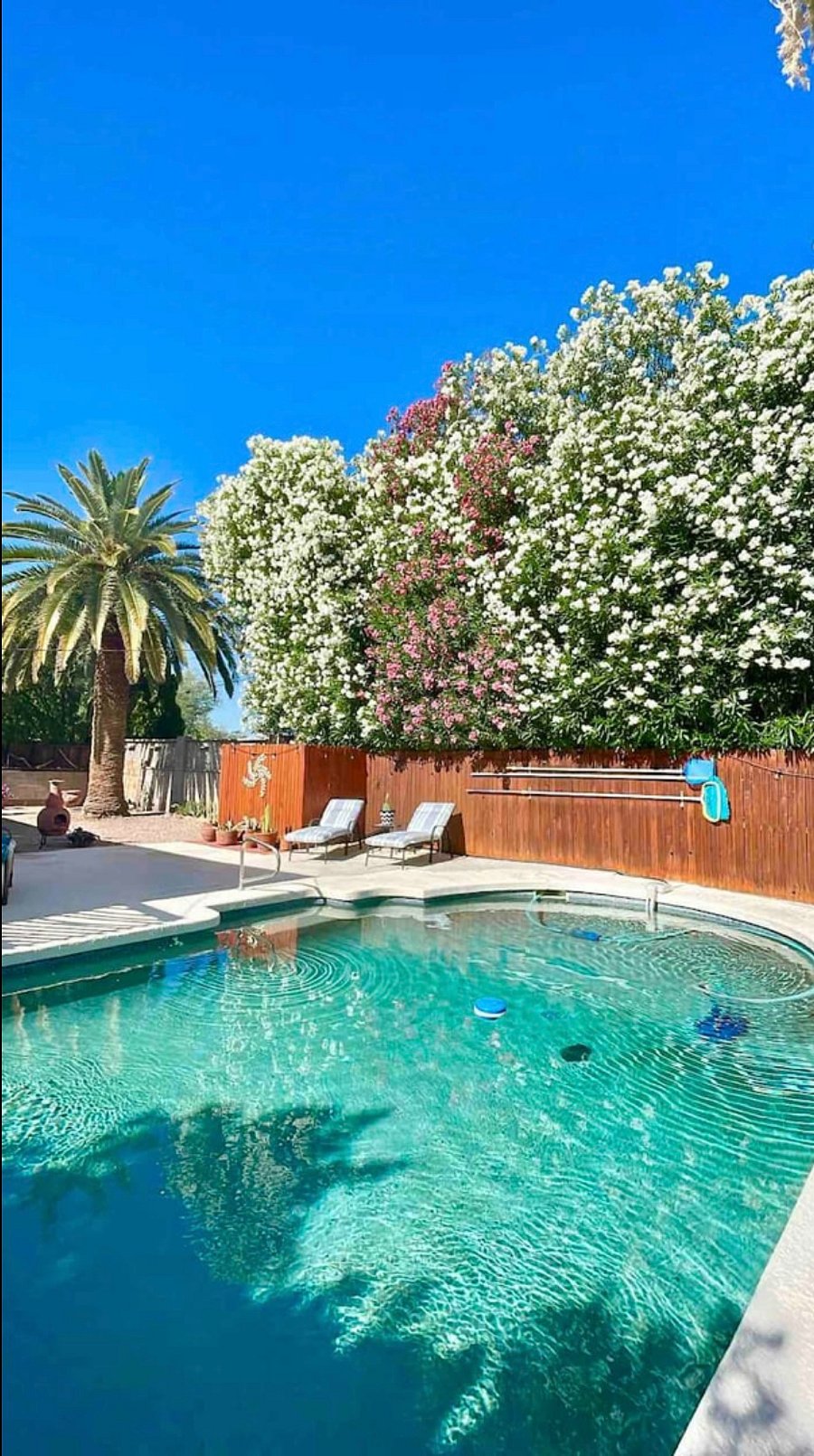 Furnished Finder property 891595_1 photo 18