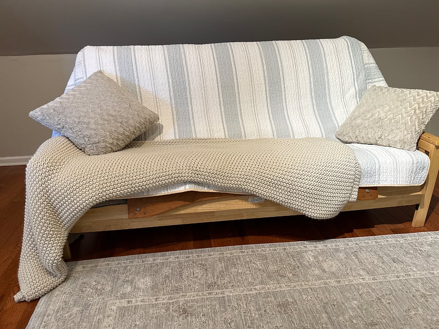 Living/Den- Futon sofa (Full size bed)