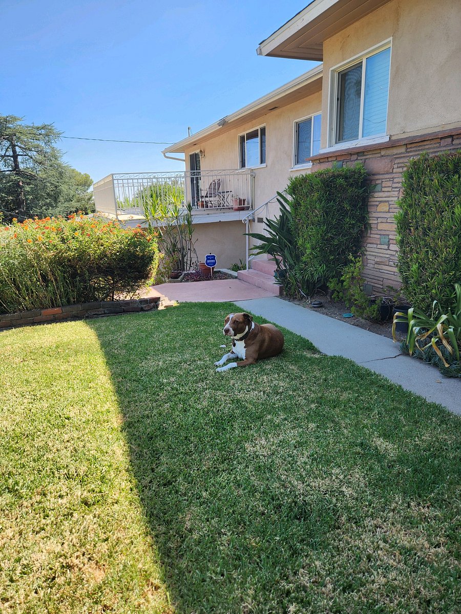 Furnished Finder property 891636_1 photo 9