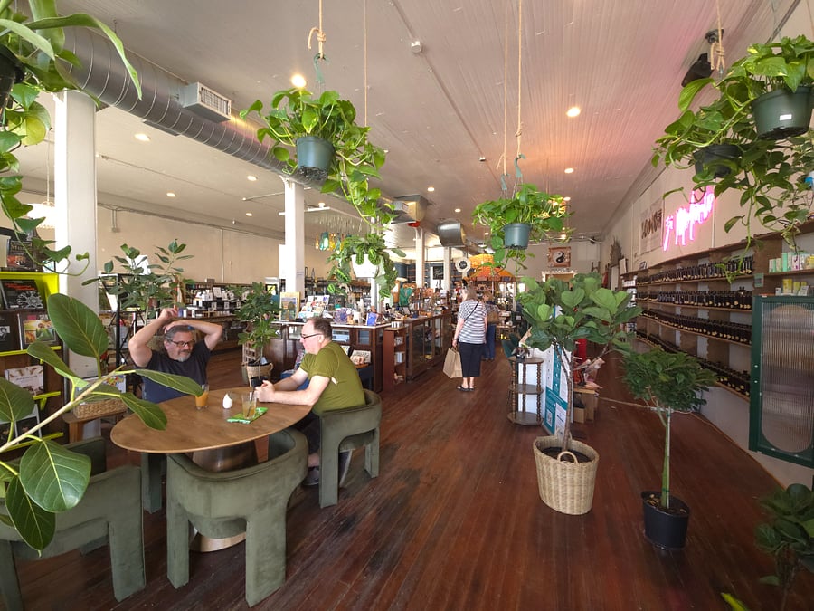 Zoi Medicinals: Local herbal and tea market 