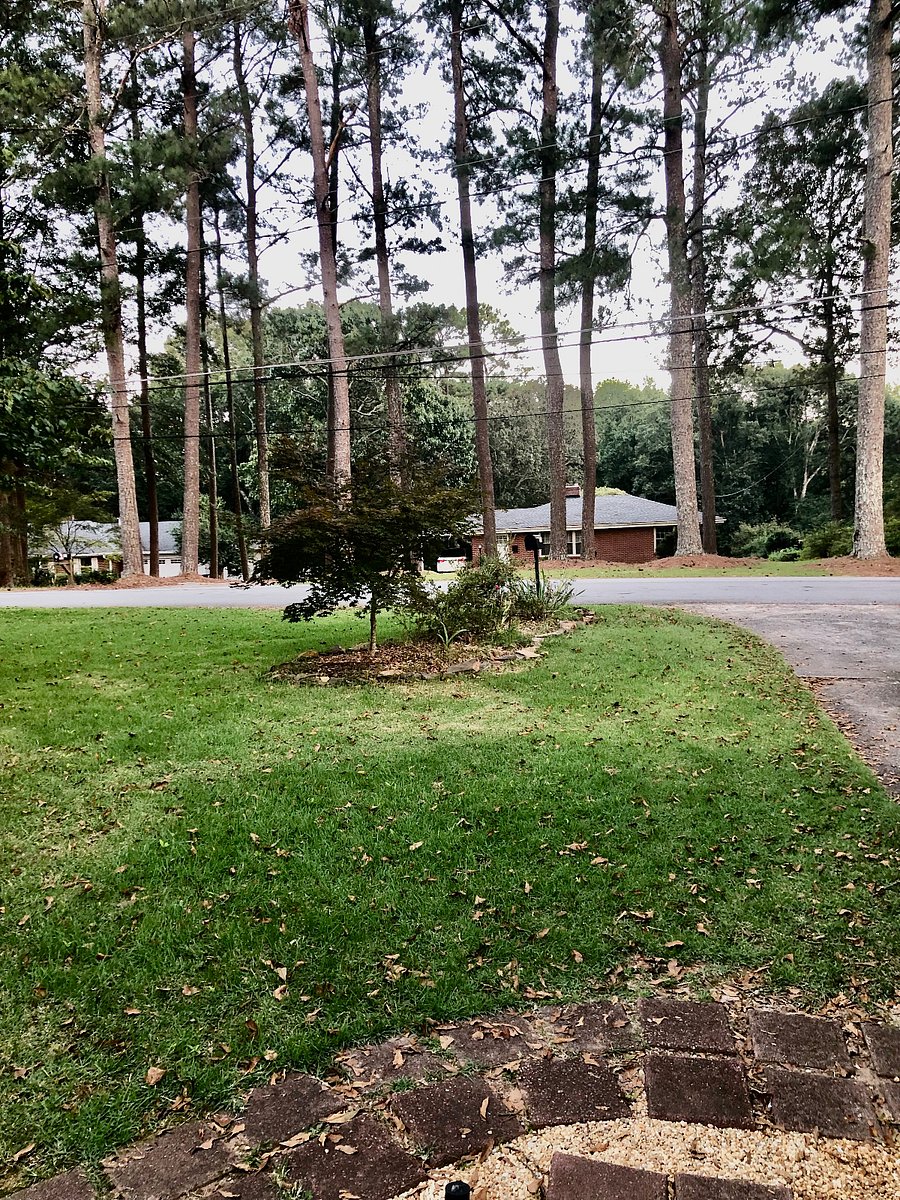 Front yard view