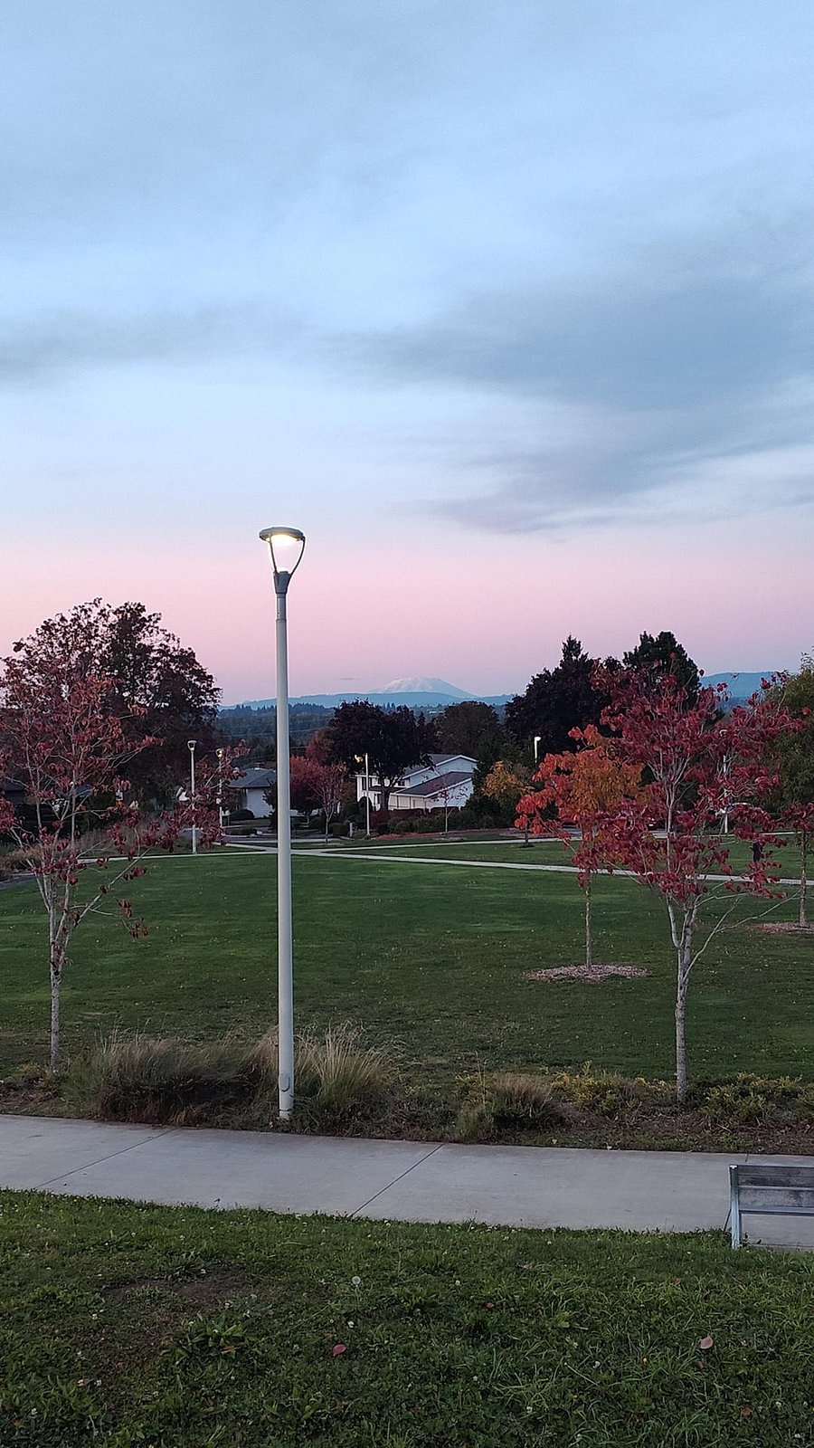 Luuit Park