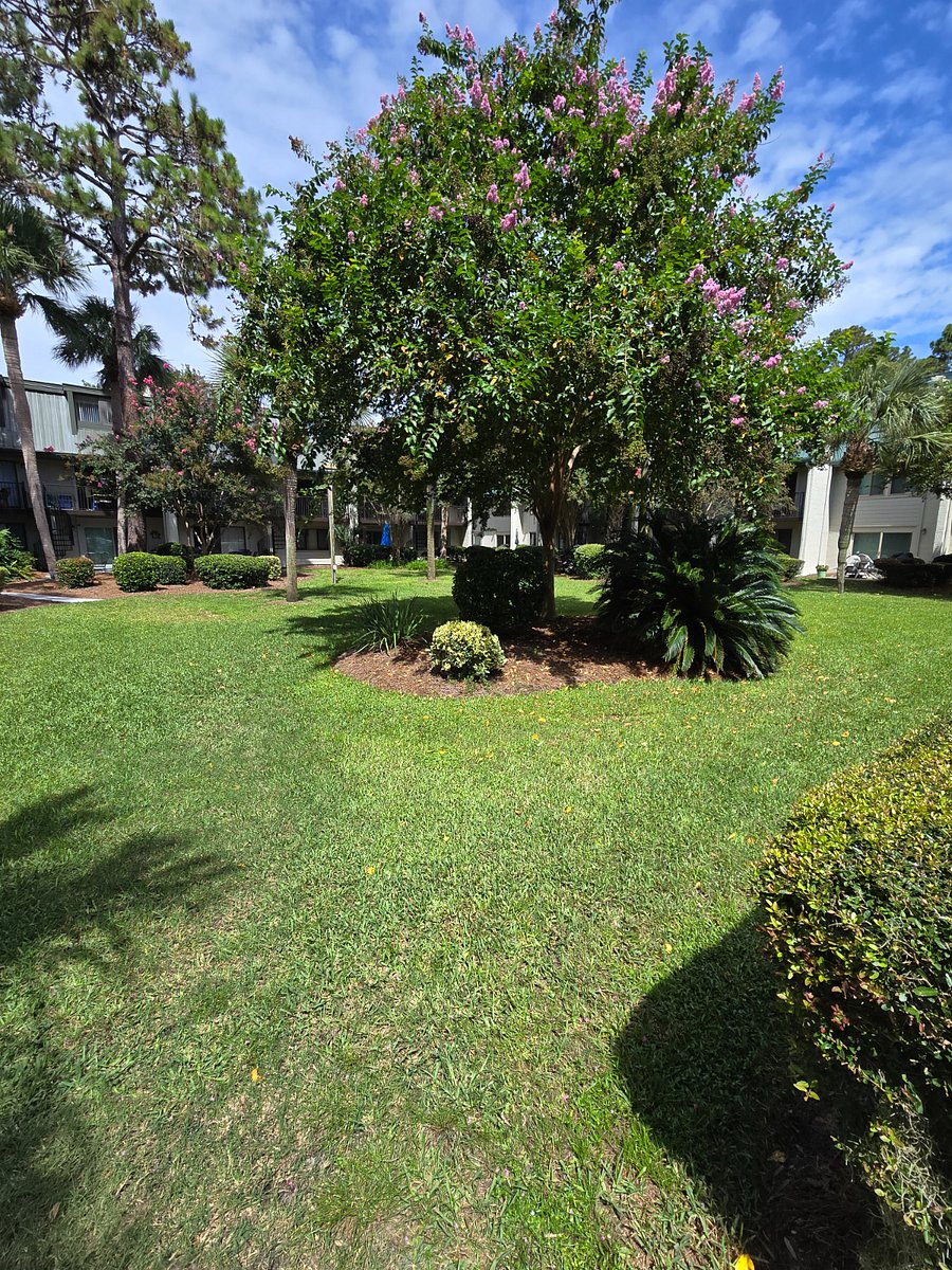 Furnished Finder property 892003_1 photo 26