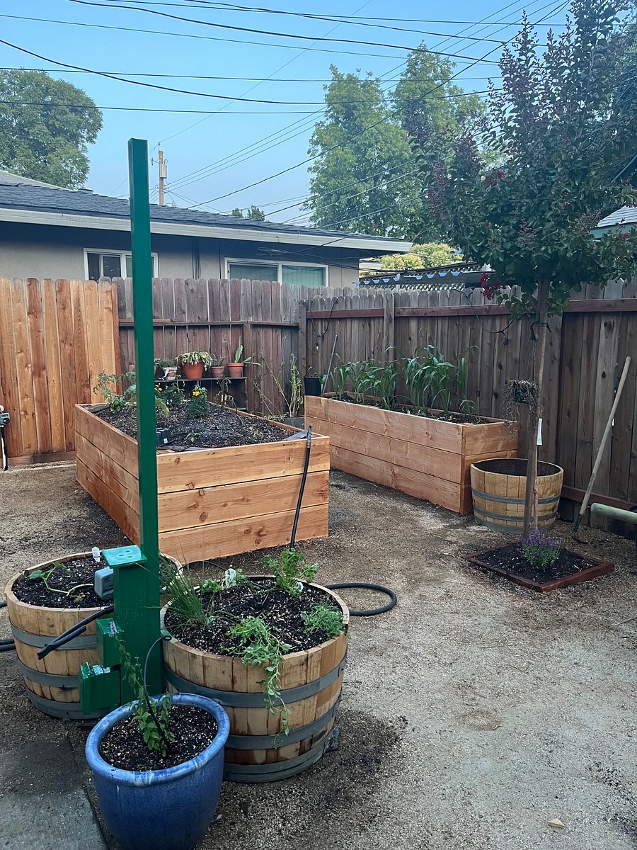 Backyard Planter Boxes