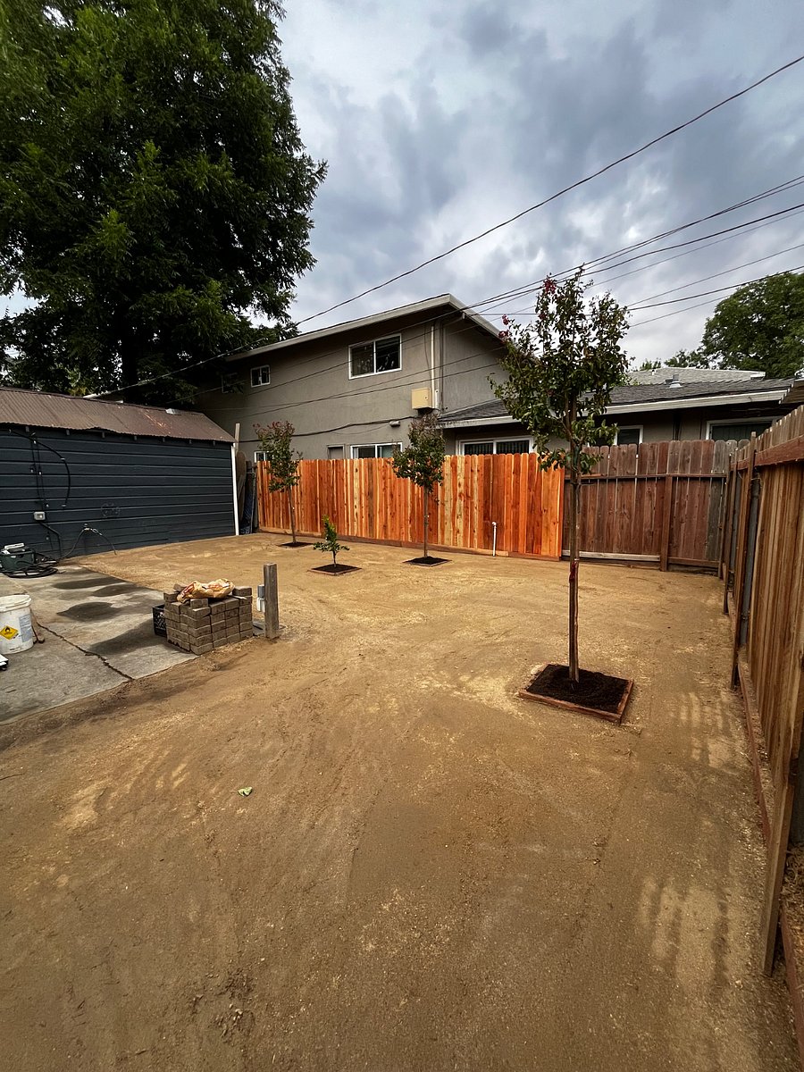 Backyard View from Side