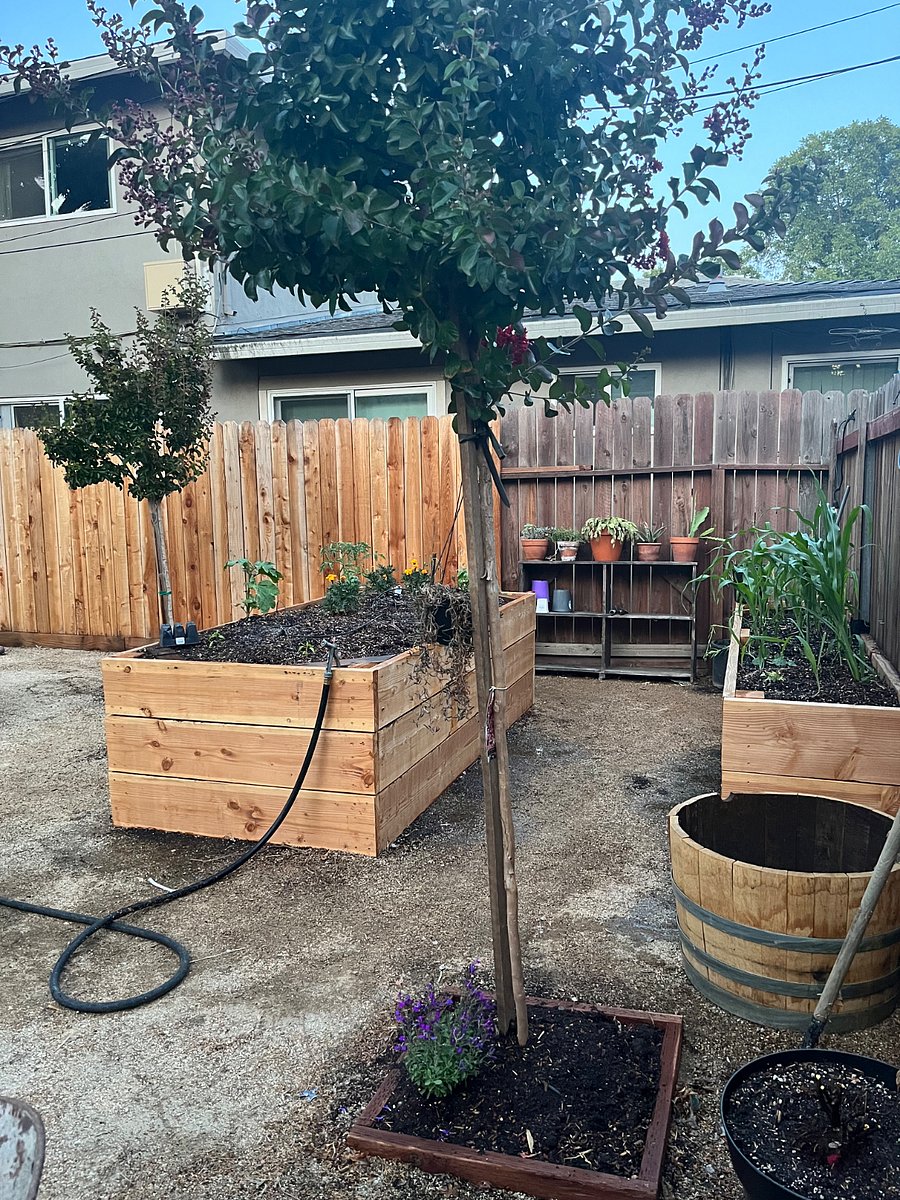 Backyard Planter Boxes