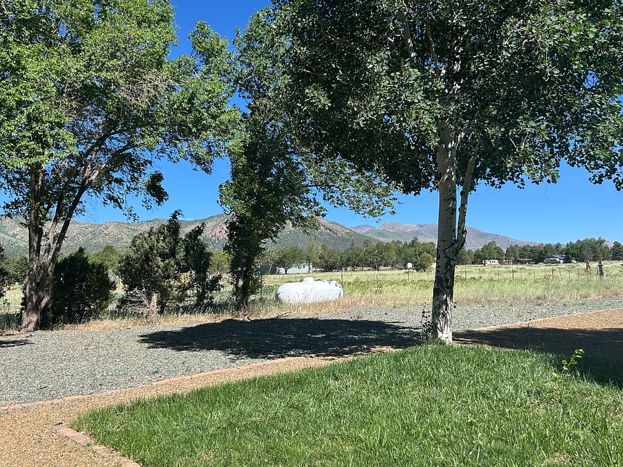 view from back porch - shared