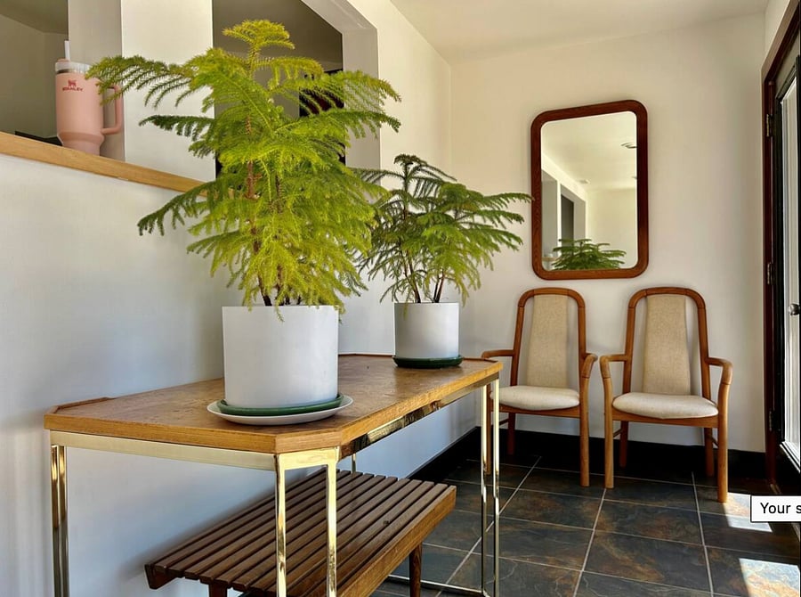 sunroom shared