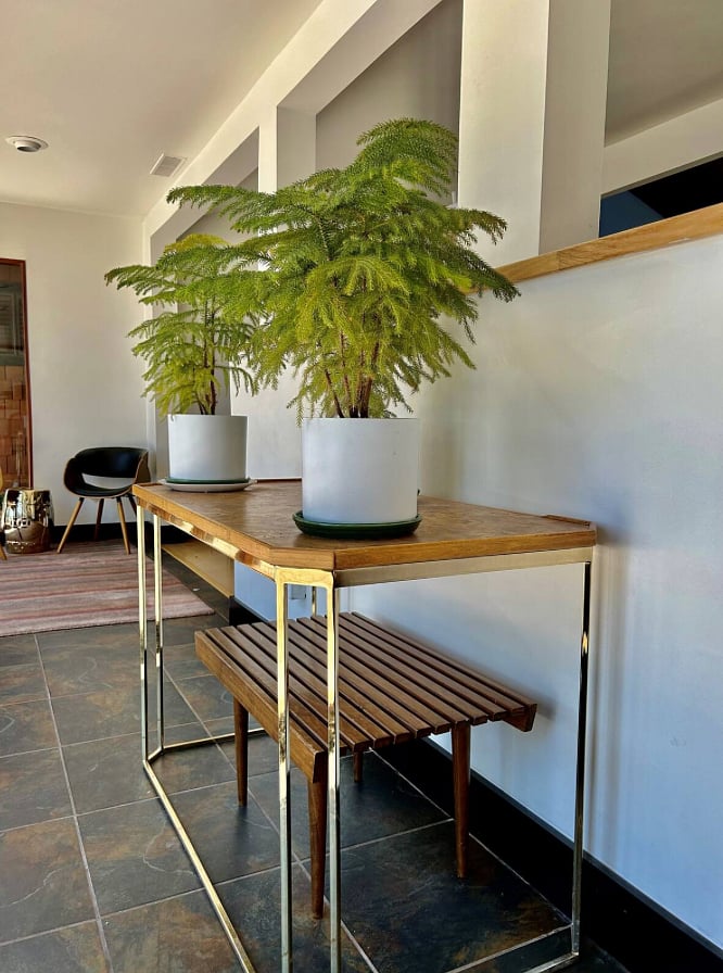 sunroom - shared
