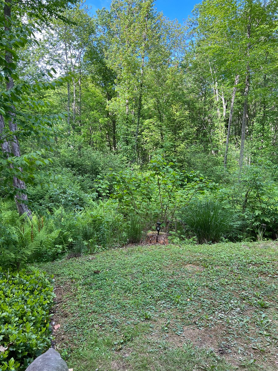 Furnished Finder property 892074_1 photo 3