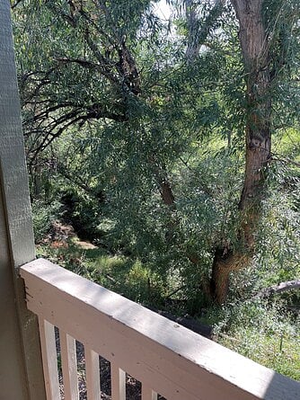 View from outdoor balcony