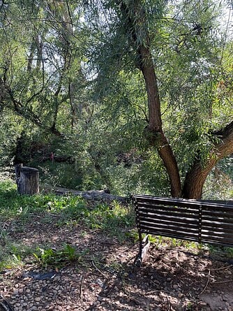 Woods and creek behind the condo