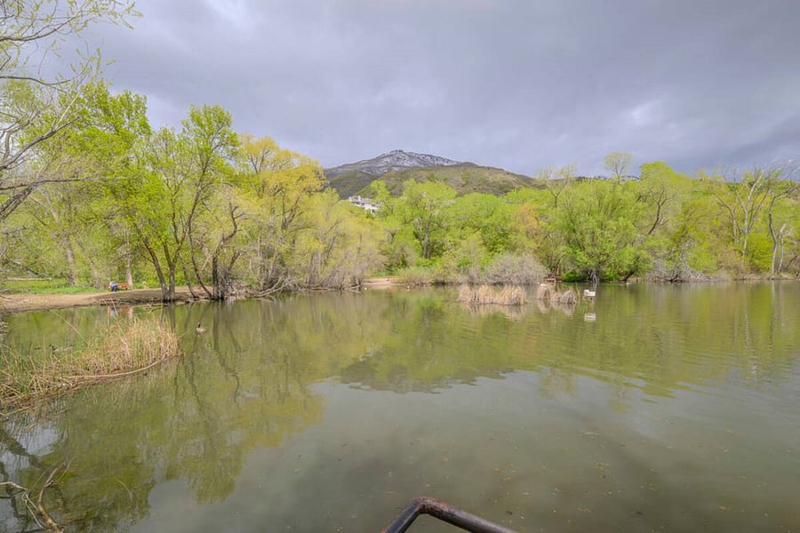 A view of the Duck Pond across the street from the house, with a mountain and trees in the background.