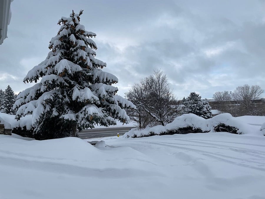 A view of fresh snow on the driveway from the dining room window.