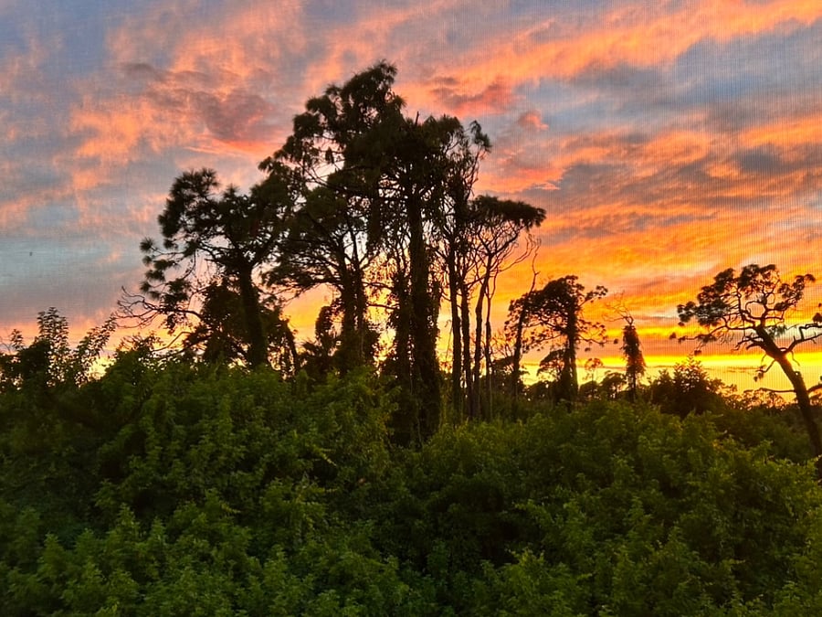 Lanai Sunset